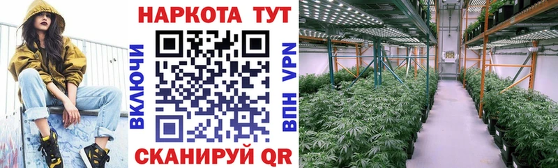 Где можно купить наркотики Белая Калитва Гашиш  A PVP  Меф  Бошки Шишки 